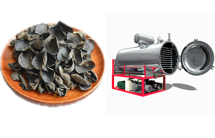 木耳凍干機 木耳凍干機